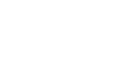 Ziggo i stand til