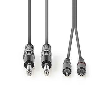 2x jack til RCA Billede