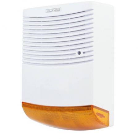 Dummy-alarm Billede