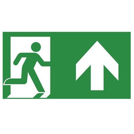 Piktogram for nødbelysning Billede