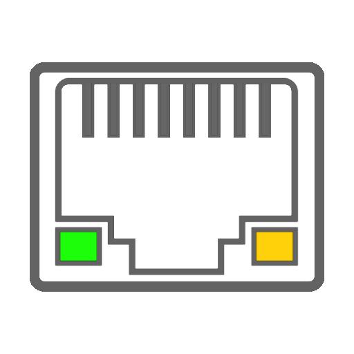 RJ45-netværkskort Billede