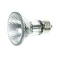 Par lamp billede