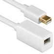 Mini Displayport-forlængerkabel billede