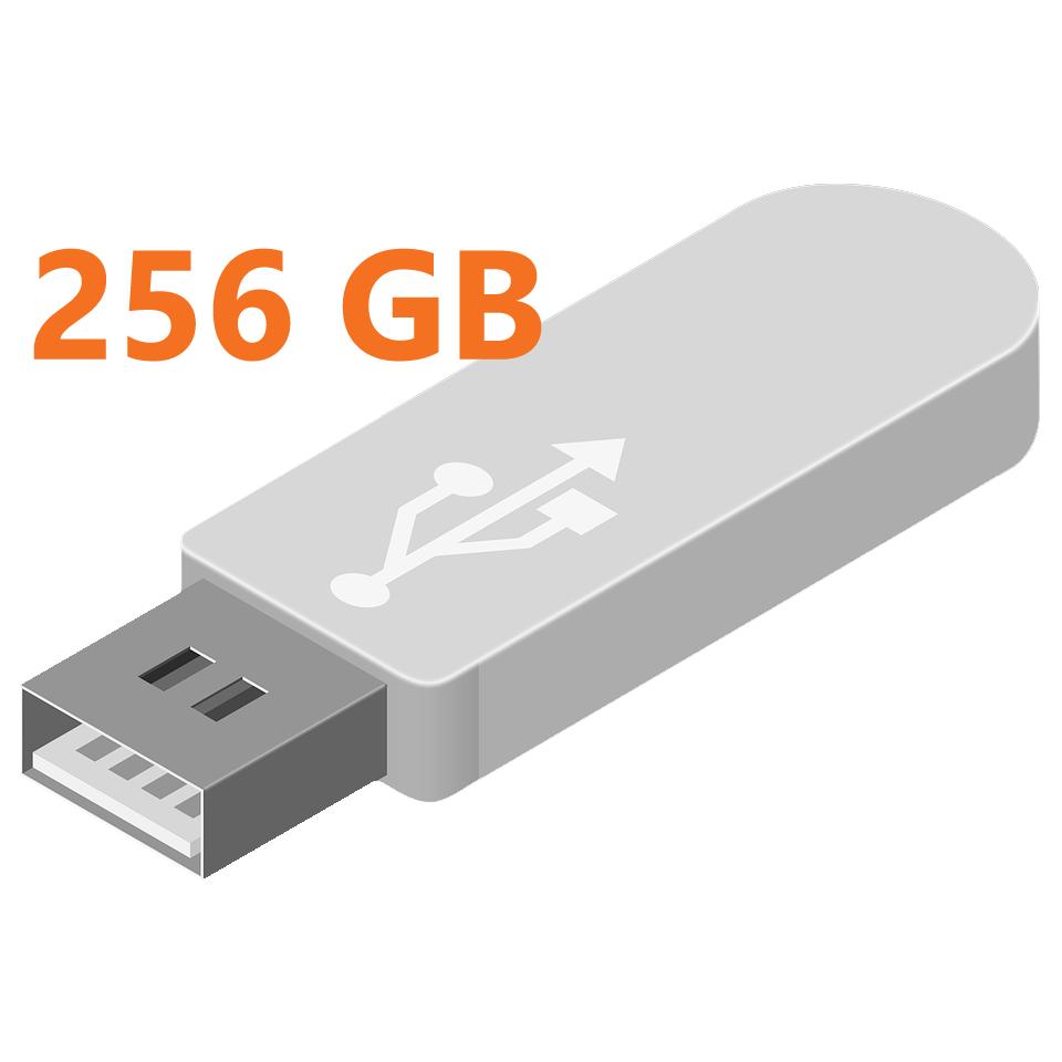 256 GB Billede