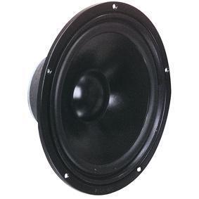 VISATON 25 CM WOOFER - Visaton