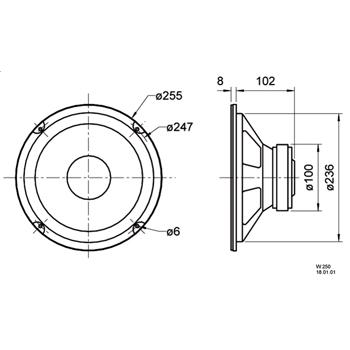 VISATON W250 WOOFER - 25 CM - Visaton