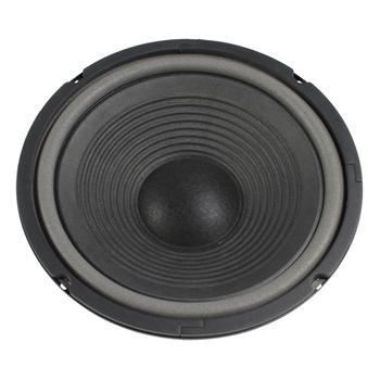 VISATON W250 WOOFER - 25 CM - Visaton
