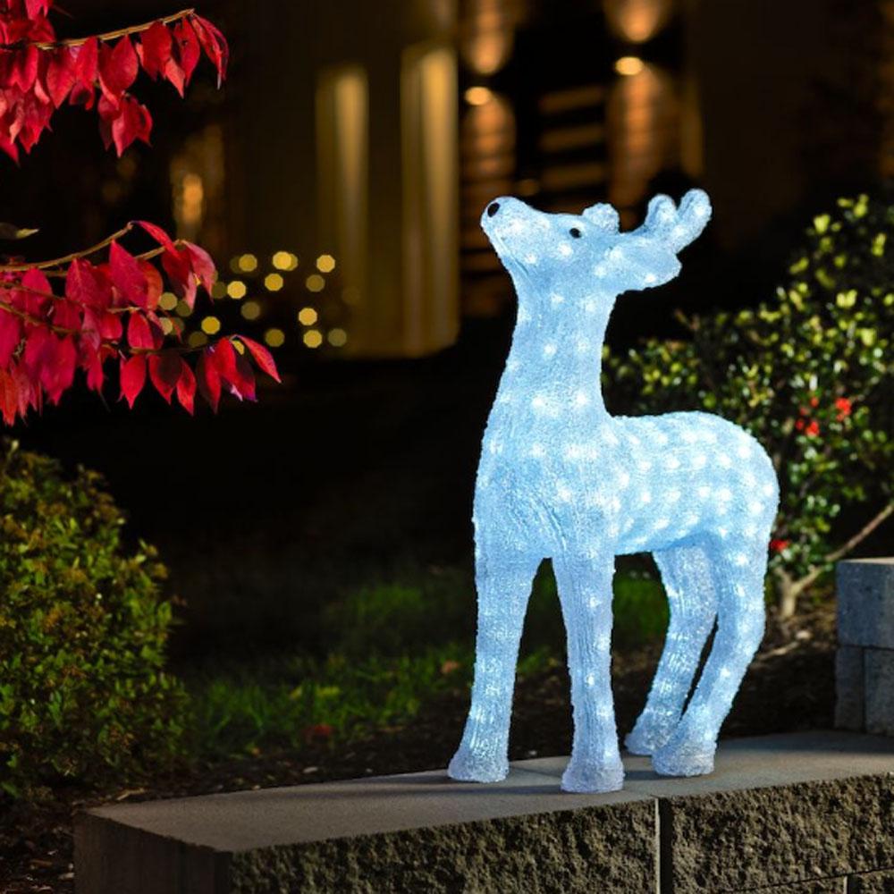 Rensdyr - led-julelys udendørs og indendørs - 176 lys - 39 x 60 cm - kold hvid