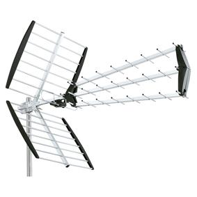 - König