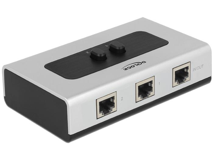 Delock RJ45 10 Gbps 2 Port manuel