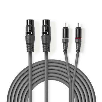 XLR til RCA-lydkabel 2x XLR hun til 2x RCA han