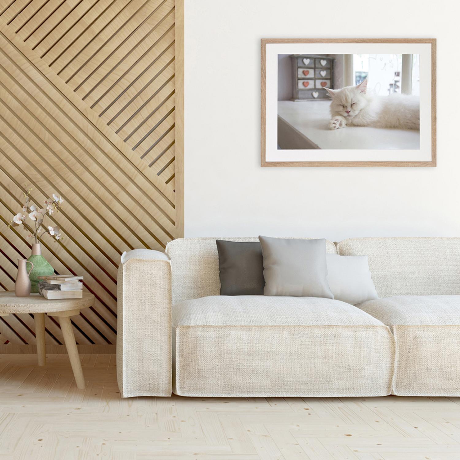 Fotoramme Moderne - 50x70cm - Mørkebrun