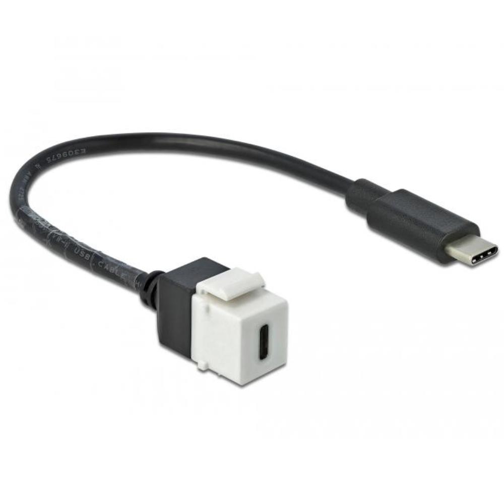 USB C keystone - Delock