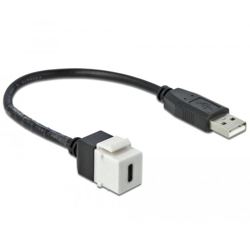 Delock Keystone Modul USB 2.0 C Hun > USB 2.0 A Stik med