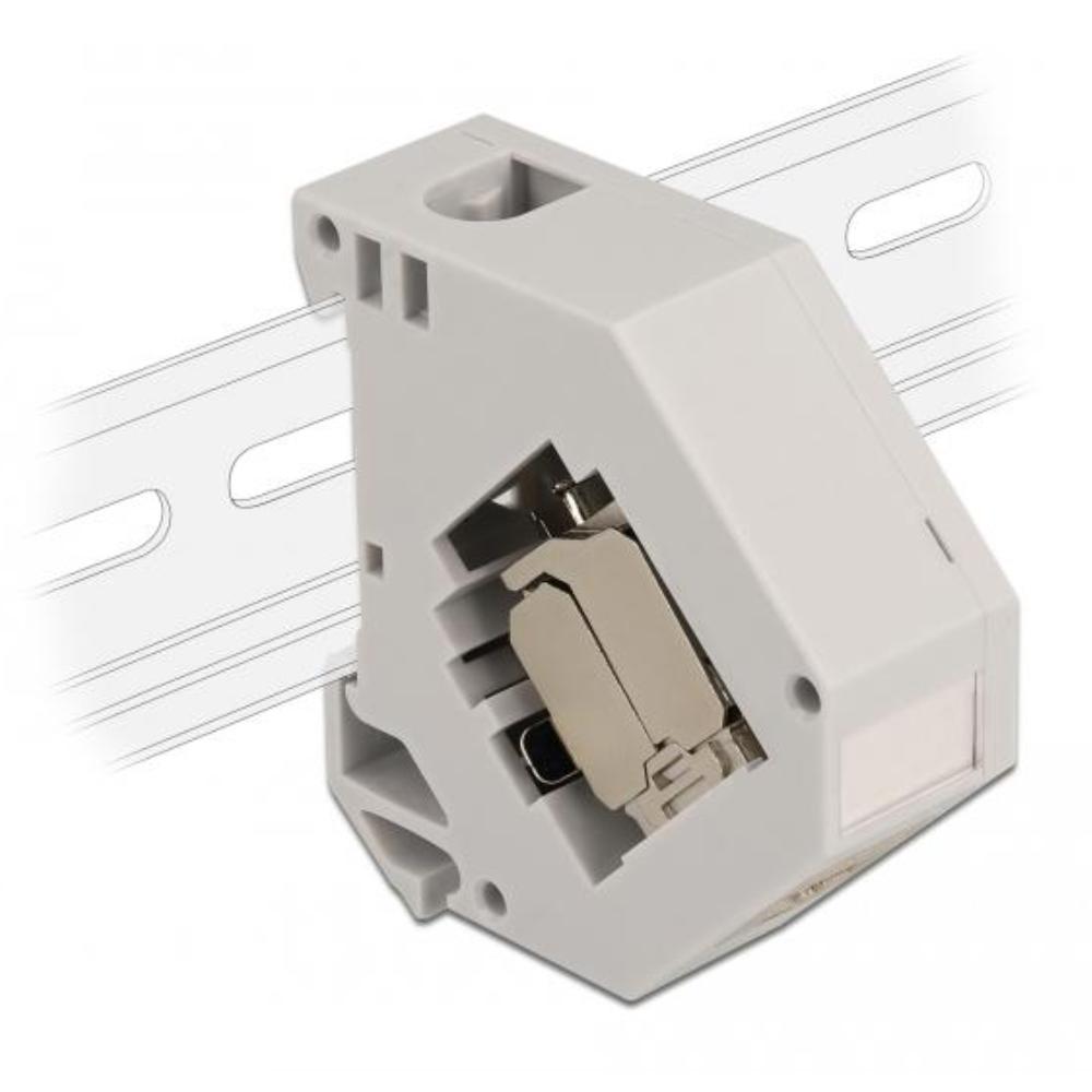Delock DIN-skinneadapter med Keystone-modul RJ45-stik Cat.6A LSA - Delock