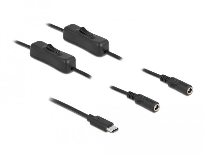 Delock-kabel USB Type-C™-stik til 2 x DC 5,5 x 2,1 mm-stik med kontakt - Delock