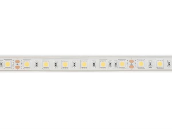 FLEKSIBEL LEDSTRIP - HVID 6500K - 60 LEDs/m - 5 m - 24 V - IP68 - CRI90 - EtiamPro