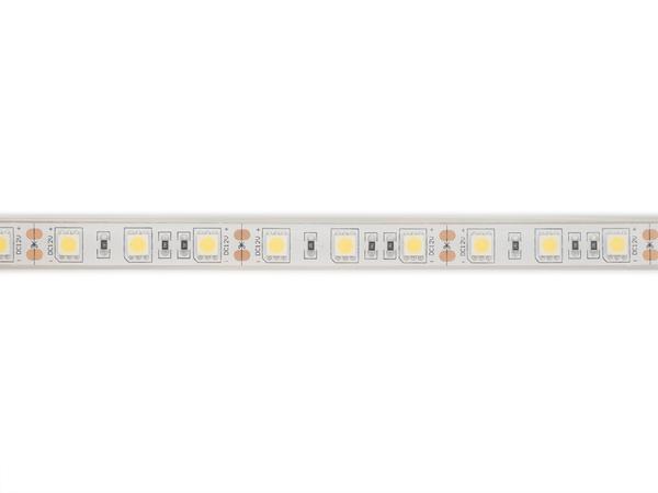 FLEKSIBEL LEDSTRIP - HVID 6500K - 60 LEDs/m - 5 m - 12 V - IP68 - CRI90 - EtiamPro