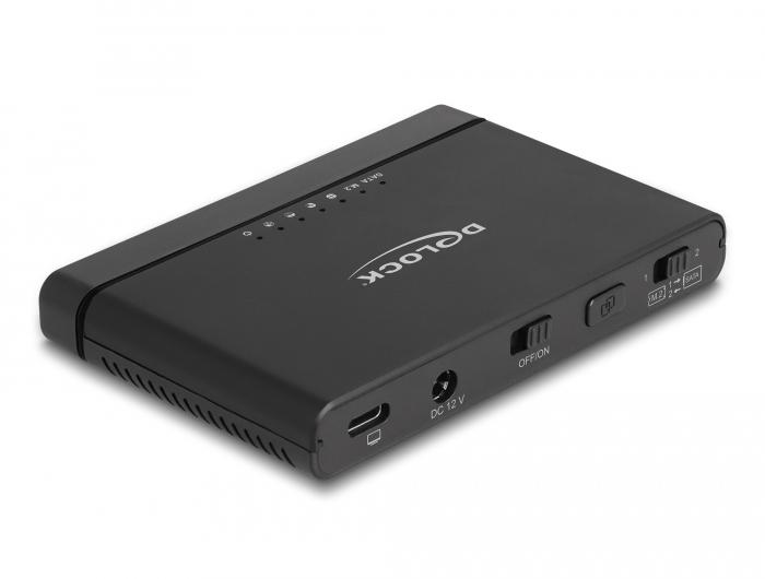 Delock USB Type-C™-konverter til 1 x M.2 NVMe SSD + 1 x SATA SSD/HDD - Delock