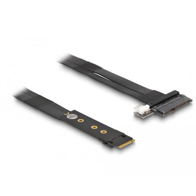 Delock M.2 Key M til U.2 SFF-8639 NVMe adapter med 20 cm kabel