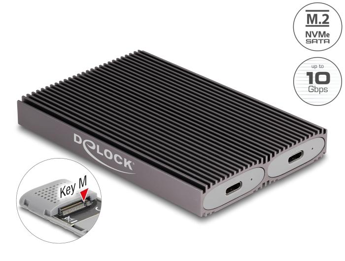 Delock Ekstern USB Type-C™ Dual Combo Kabinet til 2 x M.2 NVMe PCIe o