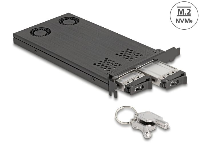 Delock PCI Express x16 kort skifteramme til 2 x M.2 NVMe SSD - Bifurca