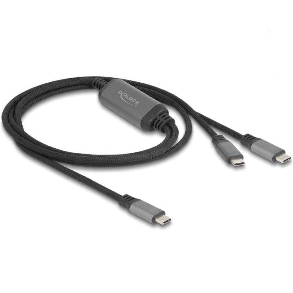 Delock USB-C™ Y-kabel 1 x stik til 2 x stik PD 3.0 100 W Intelligent