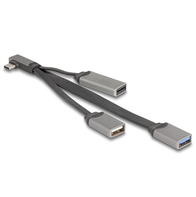 Delock 2-ports USB-hub inklusive SD og Micro-SD-kortlæser med USB Type-C