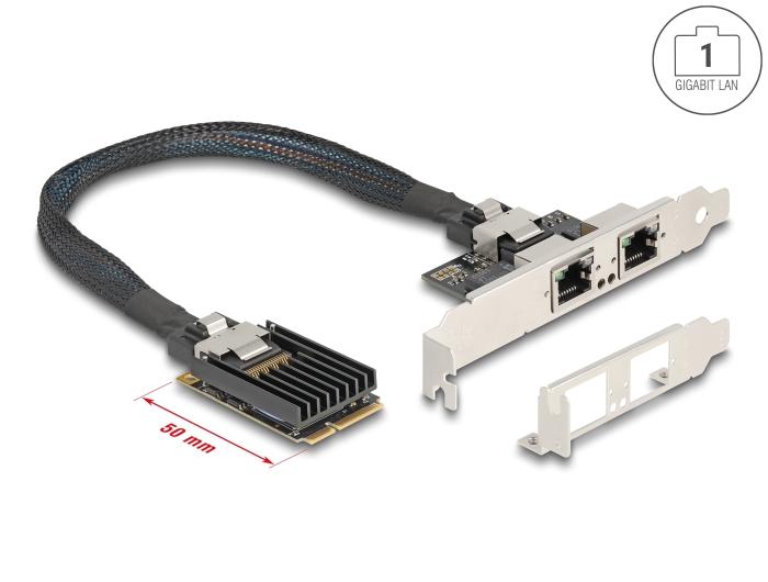 Delock Mini PCIe I/O PCIe Full Size 2 x RJ45 Gigabit LAN