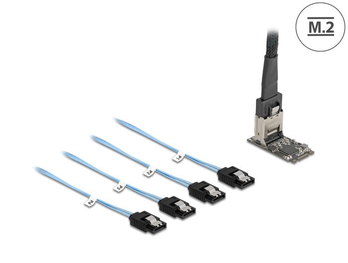 Delock M.2 2242 Key B+M Controller til 4 x SATA med 1 m kabel
