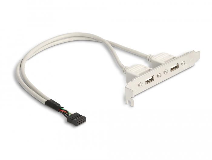 Delock Slotbeslag 2 x USB 2.0 Type A hun ekstern